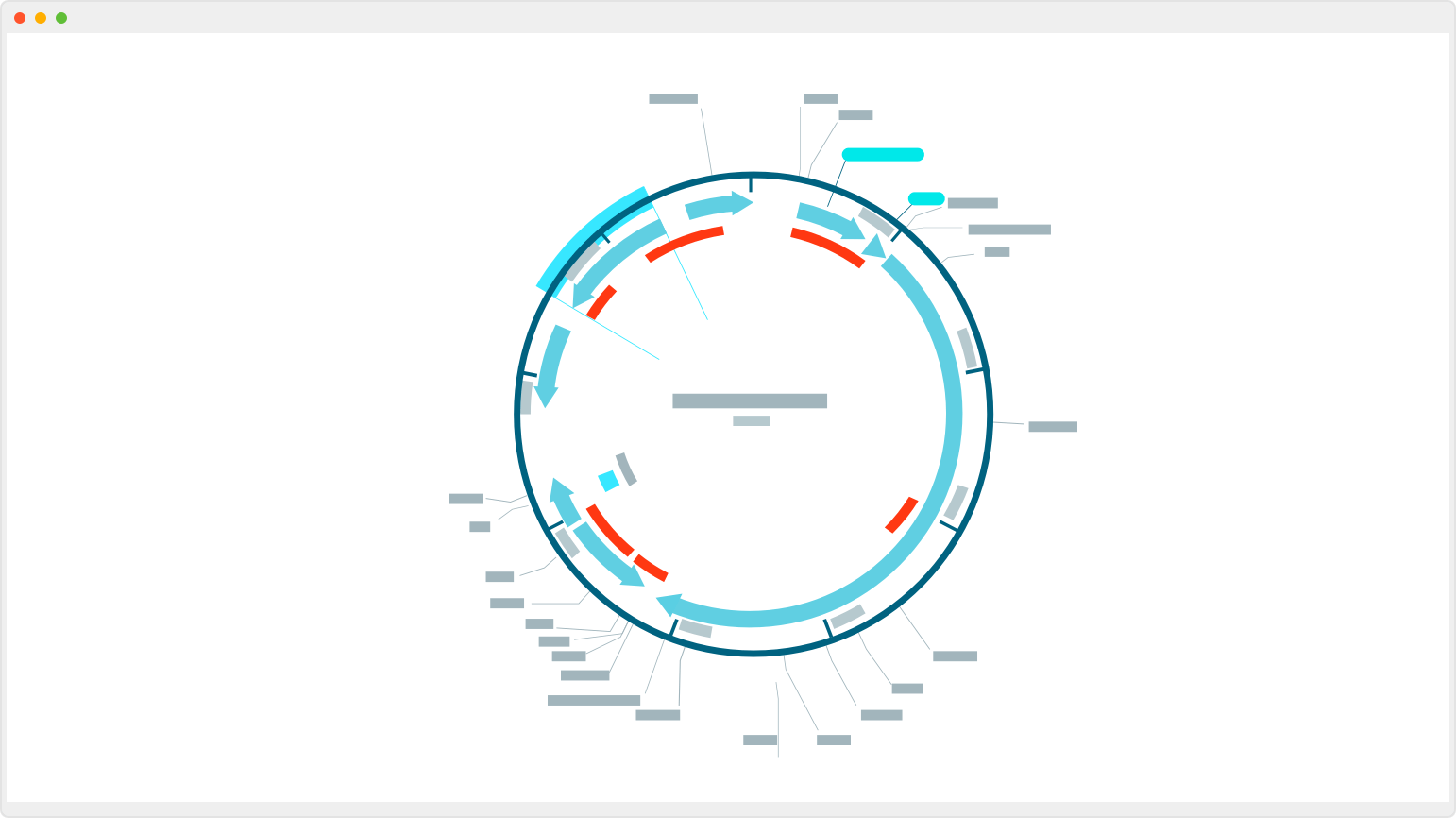 SnapGene 分子克隆设计界面