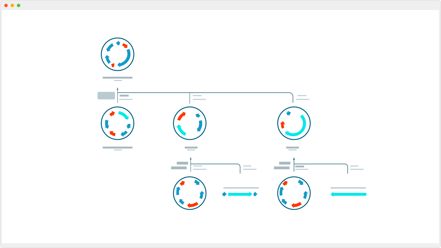 SnapGene 分子克隆功能展示